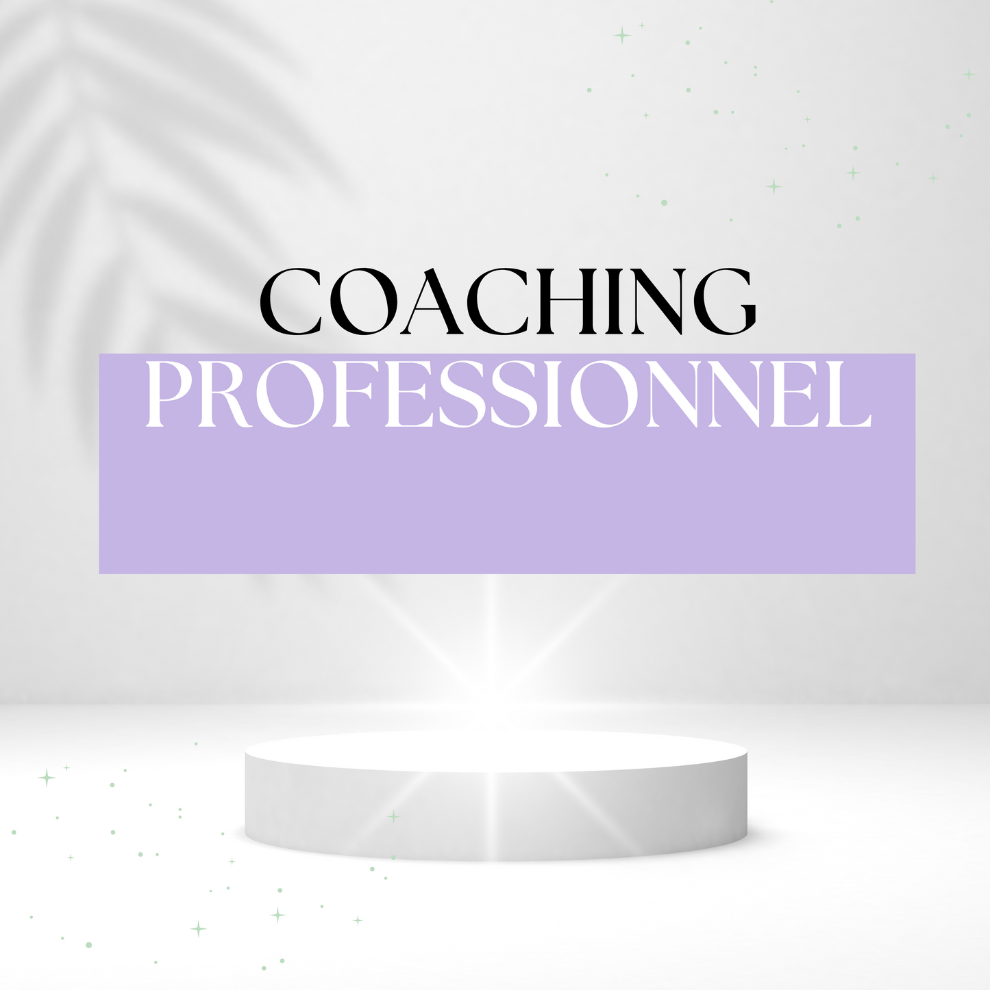 Coaching Professionnel